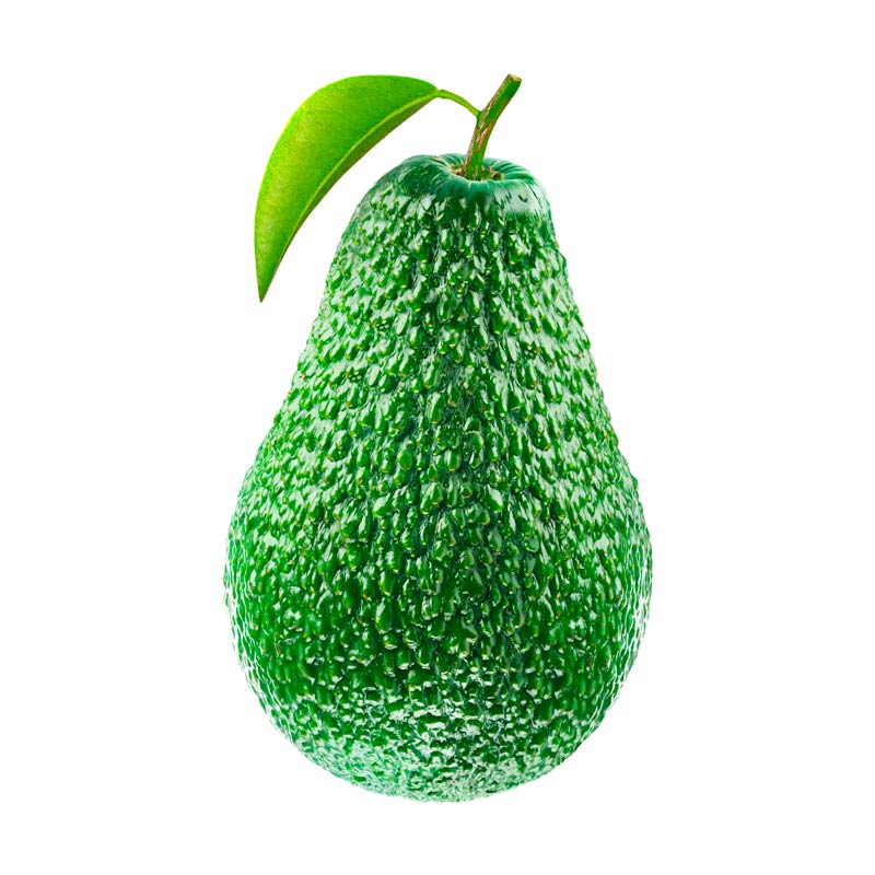 palta800x800-6